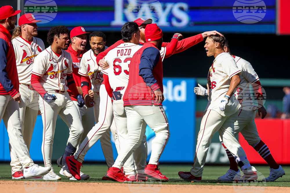 Rays Cardinals Baseball