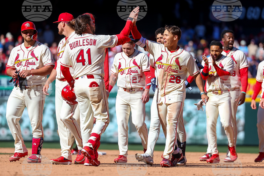 Rays Cardinals Baseball
