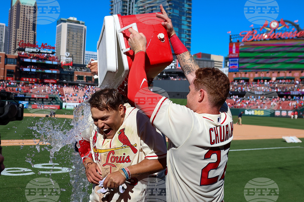 Rays Cardinals Baseball