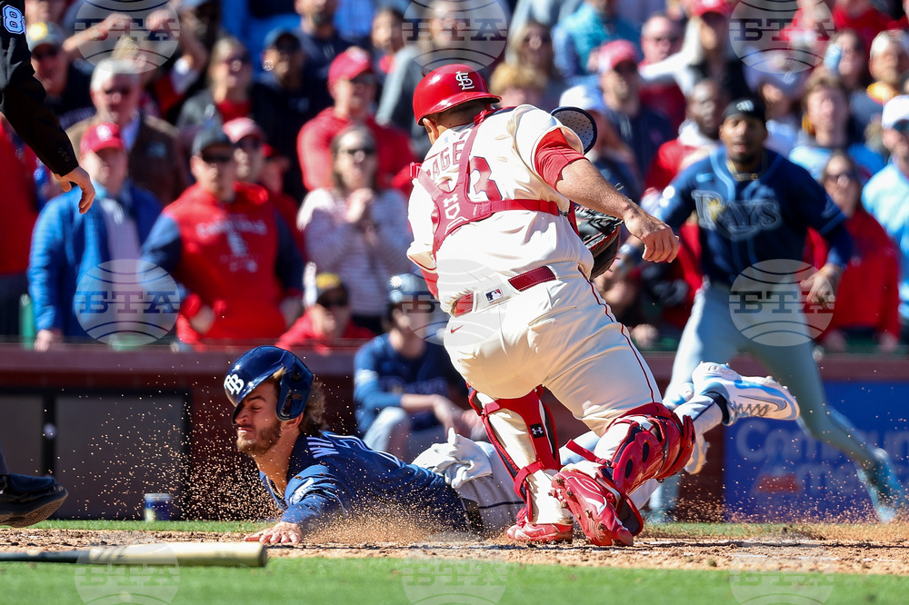 Rays Cardinals Baseball