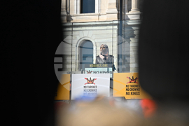No Kings Protests