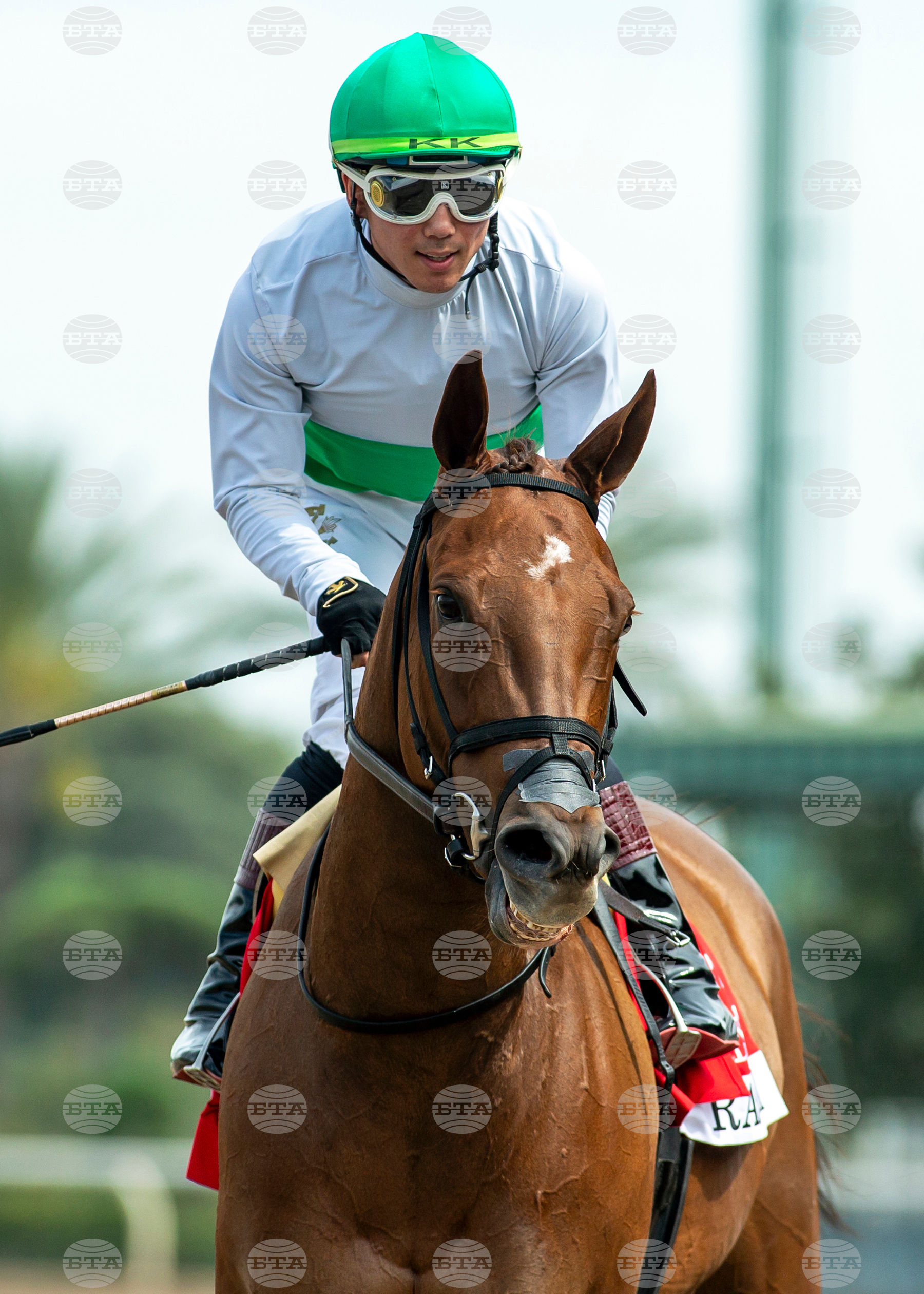 Santa Anita Horse Racing