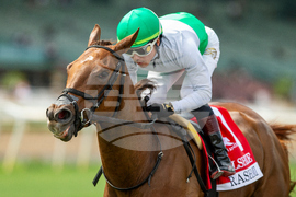 Santa Anita Horse Racing