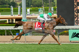 Santa Anita Horse Racing