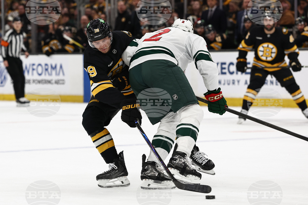 Wild Bruins Hockey