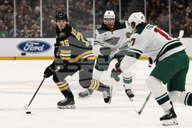 Wild Bruins Hockey