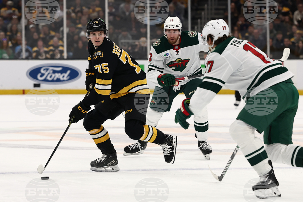 Wild Bruins Hockey