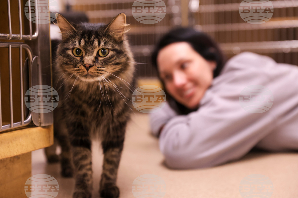 Grand Re-Opening Everyday Adoption Center/National Adoption Week Event