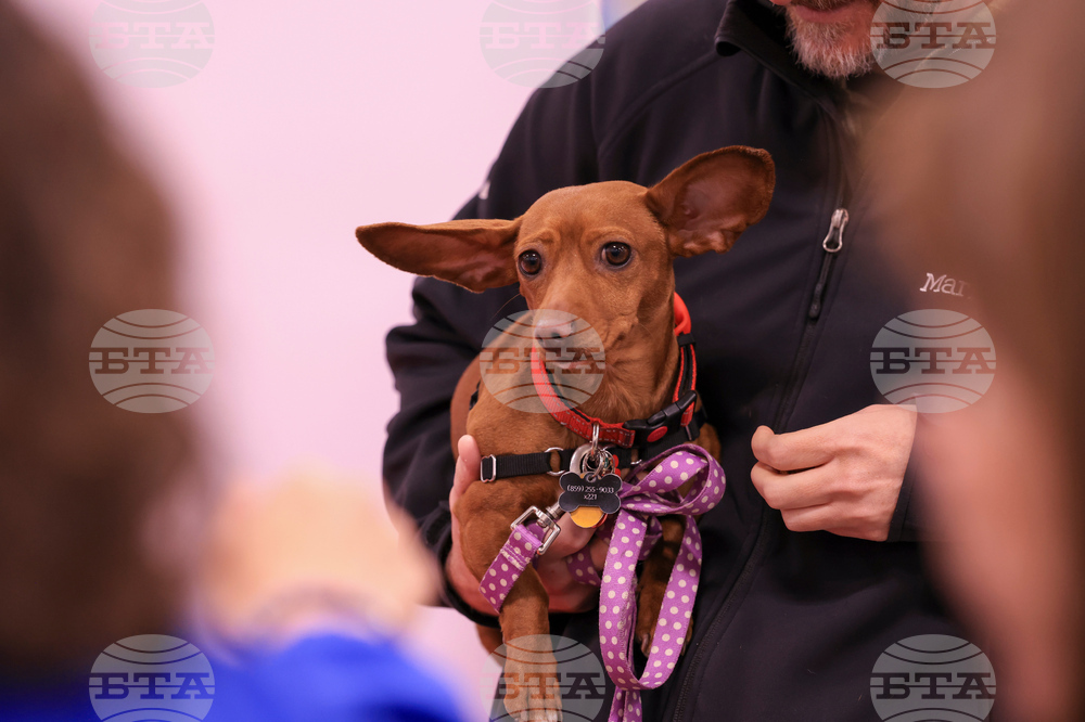 Grand Re-Opening Everyday Adoption Center/National Adoption Week Event