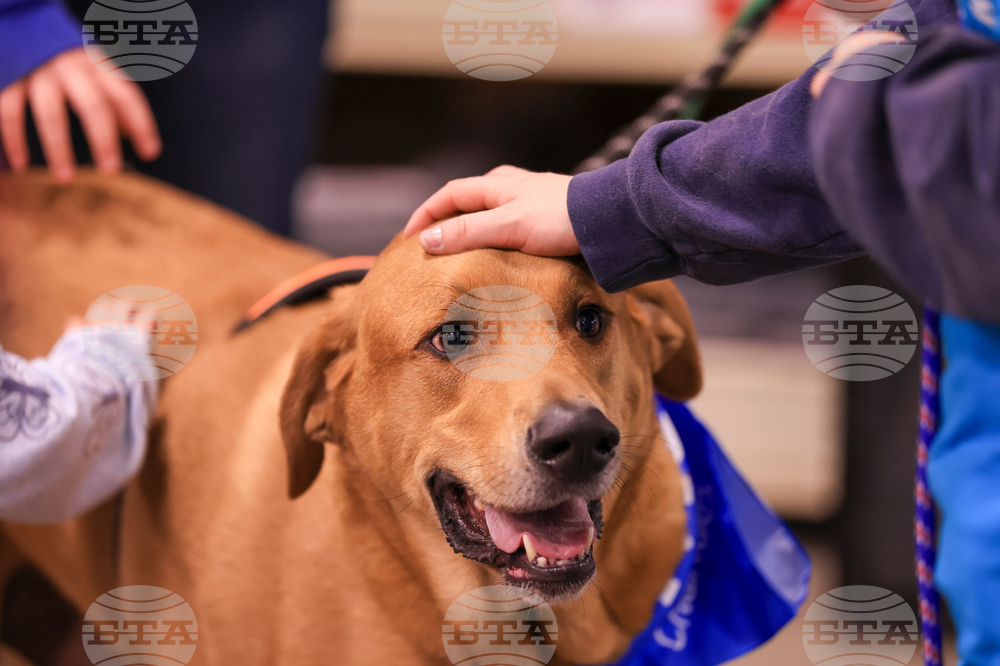 Grand Re-Opening Everyday Adoption Center/National Adoption Week Event