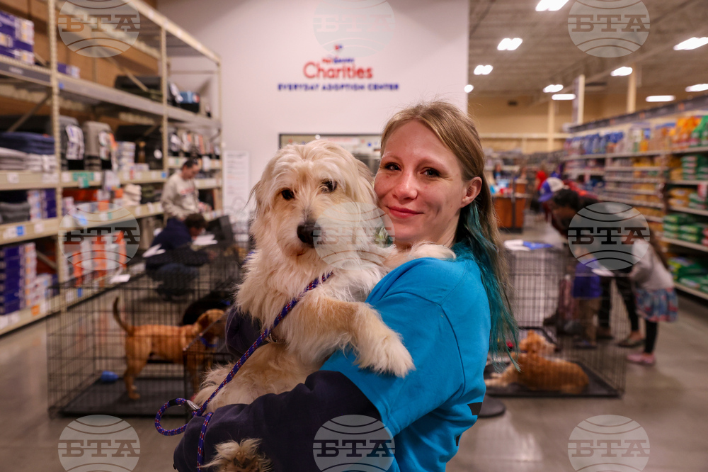 Grand Re-Opening Everyday Adoption Center/National Adoption Week Event