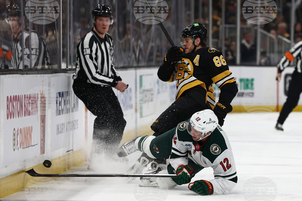 Wild Bruins Hockey