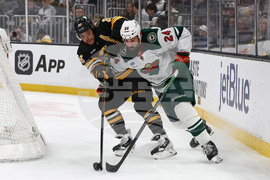Wild Bruins Hockey