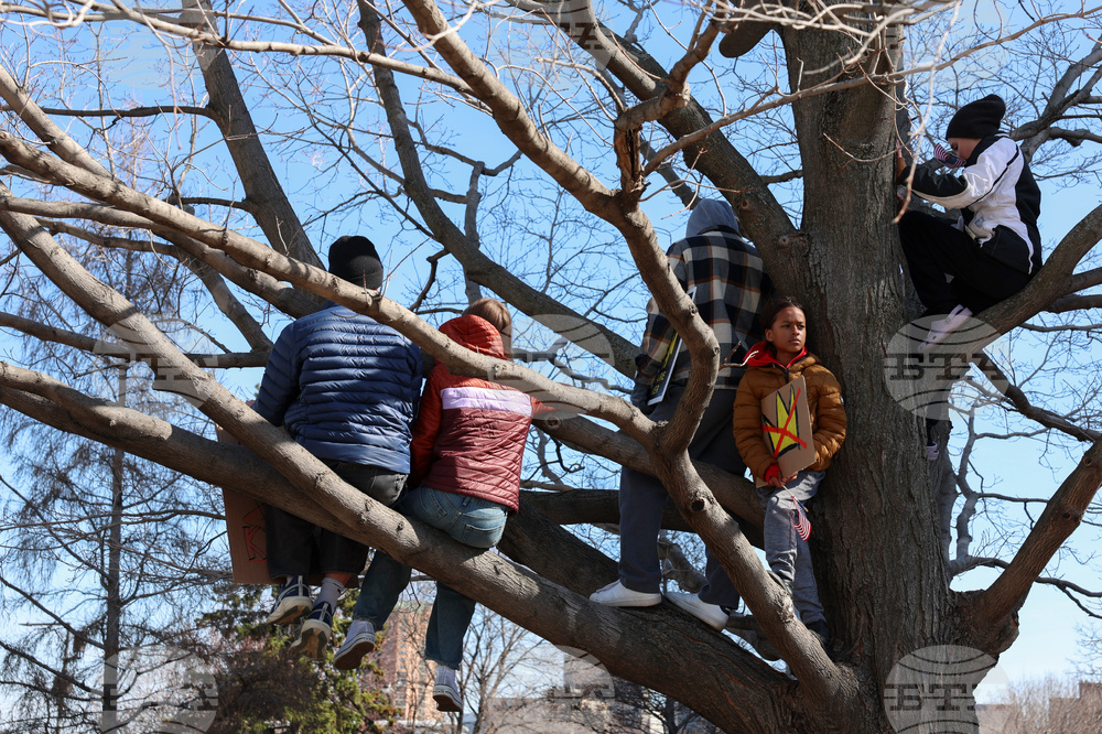 No Kings Protest Minnesota