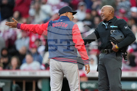 Red Sox Reds Baseball