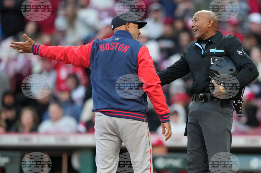 Red Sox Reds Baseball