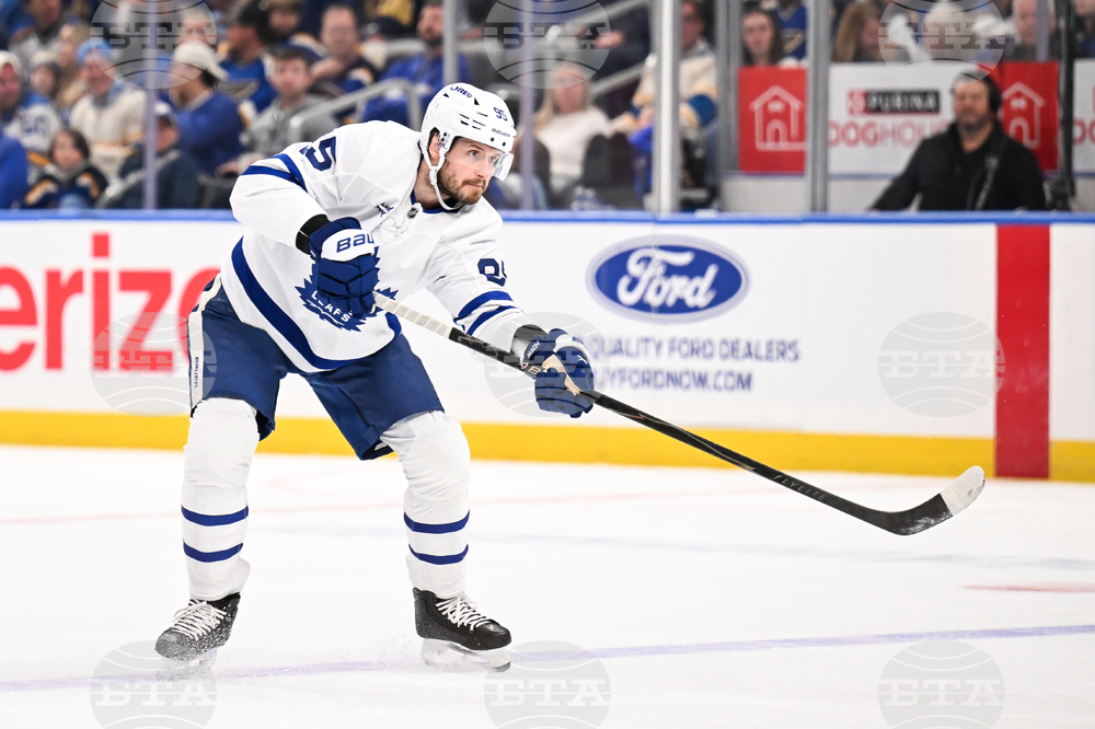 Maple Leafs Blues Hockey