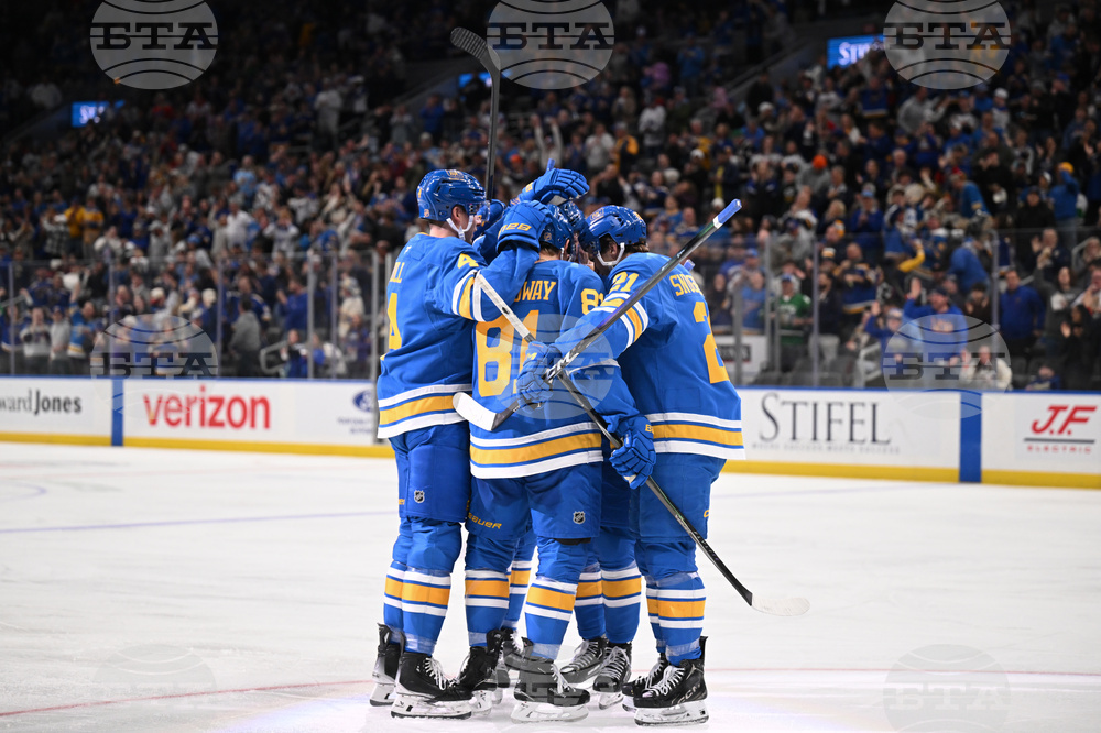 Maple Leafs Blues Hockey