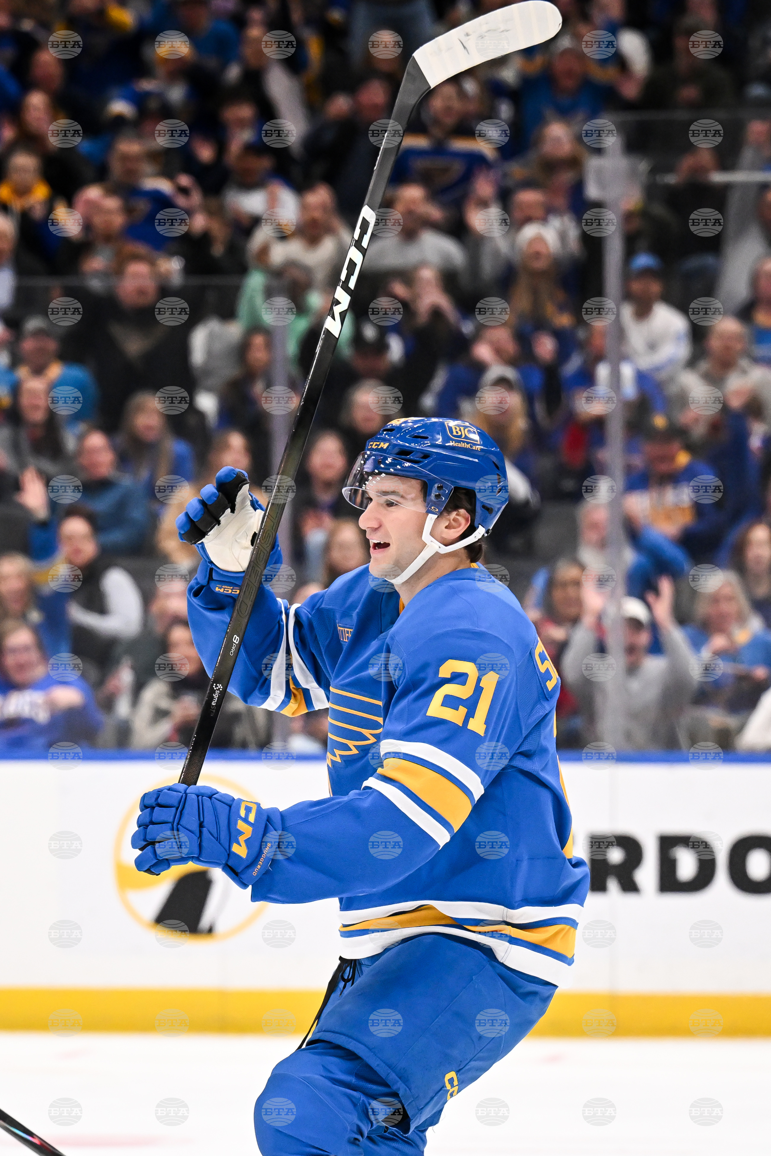 Maple Leafs Blues Hockey