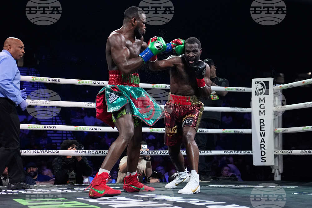 Hernandez Gausha Boxing