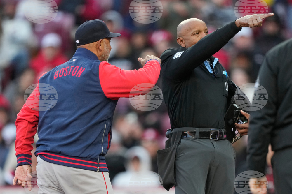 Red Sox Reds Baseball