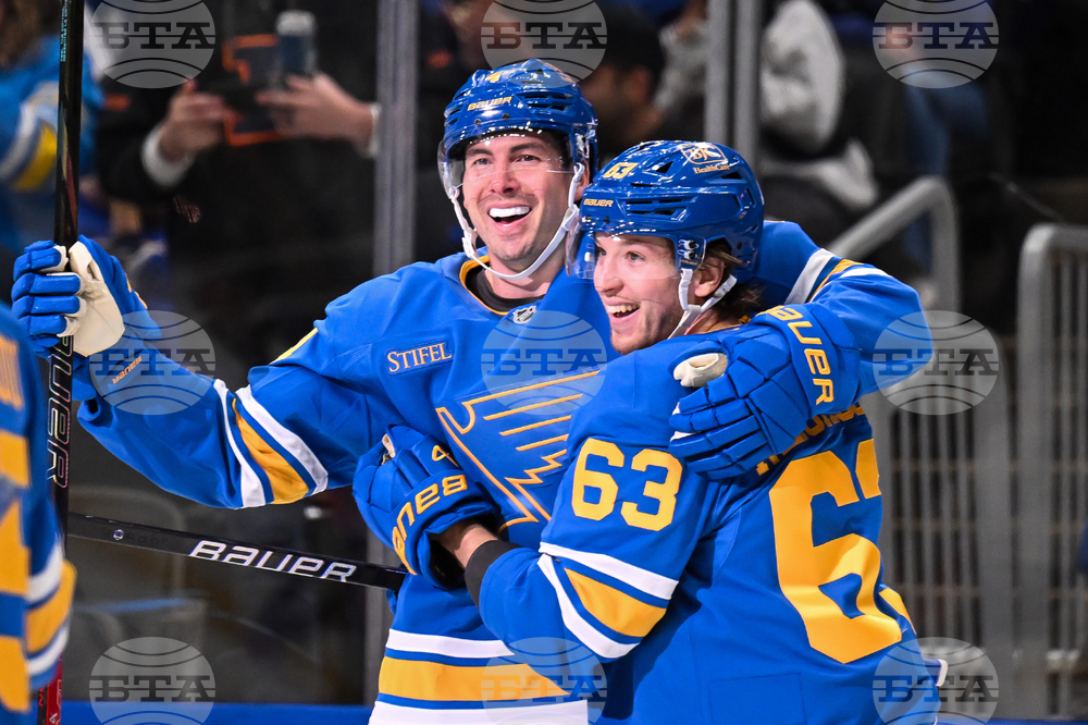 Maple Leafs Blues Hockey