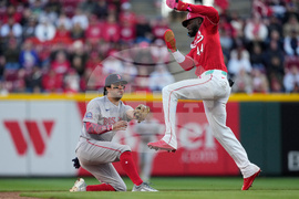 Red Sox Reds Baseball