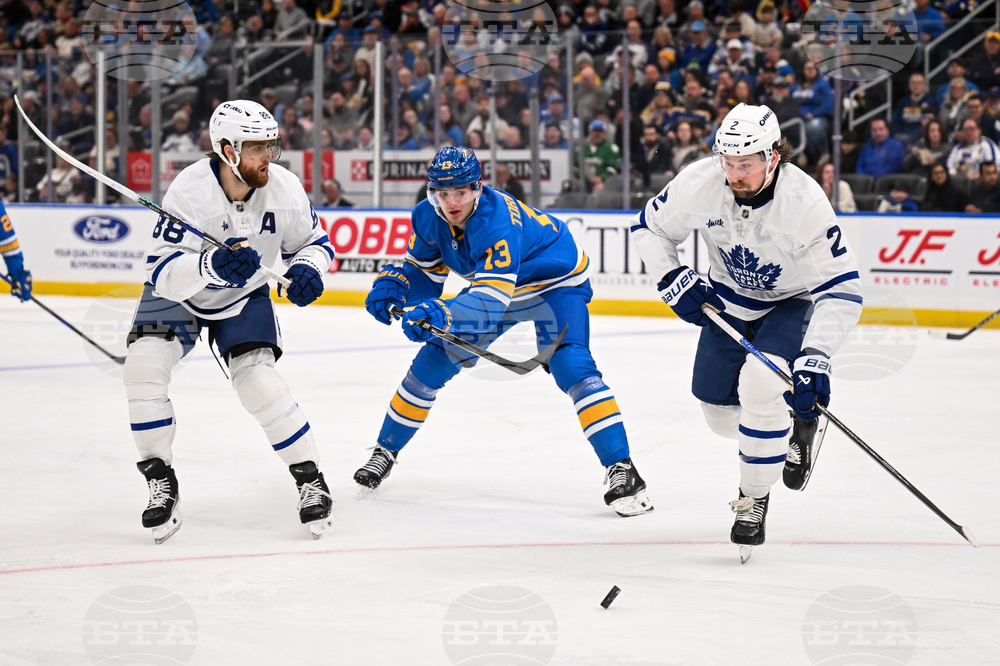 Maple Leafs Blues Hockey