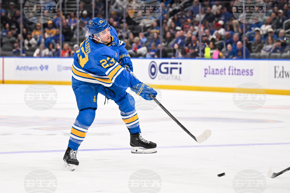 Maple Leafs Blues Hockey