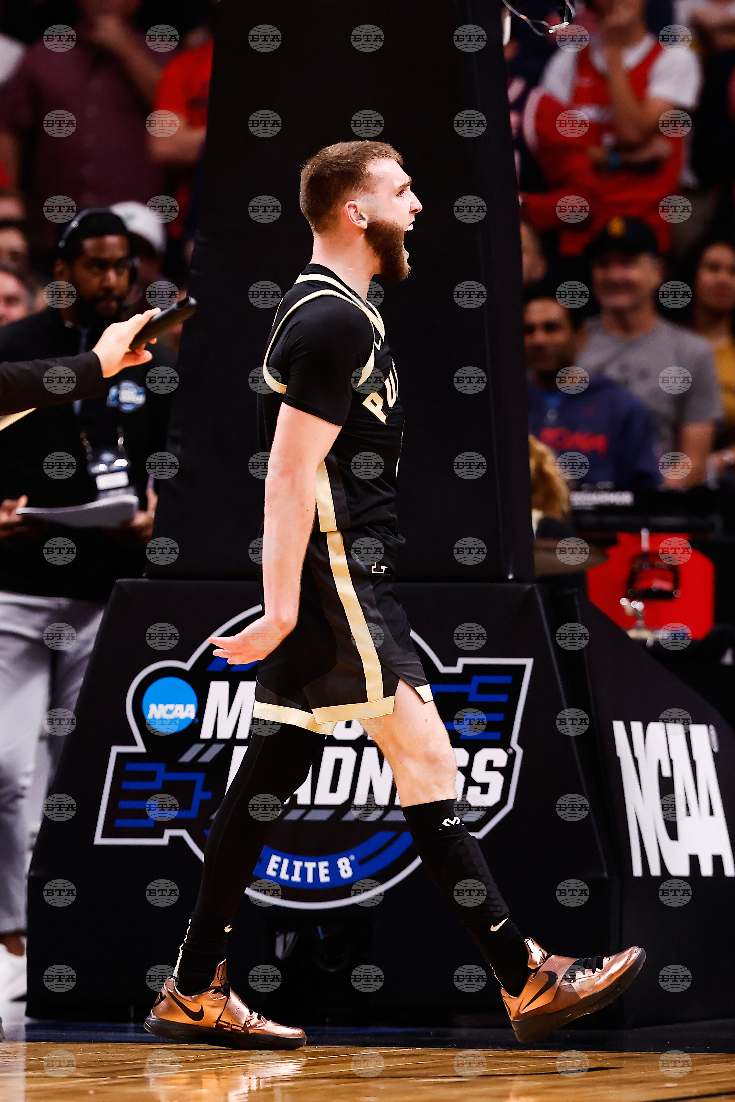 NCAA Purdue Arizona Basketball