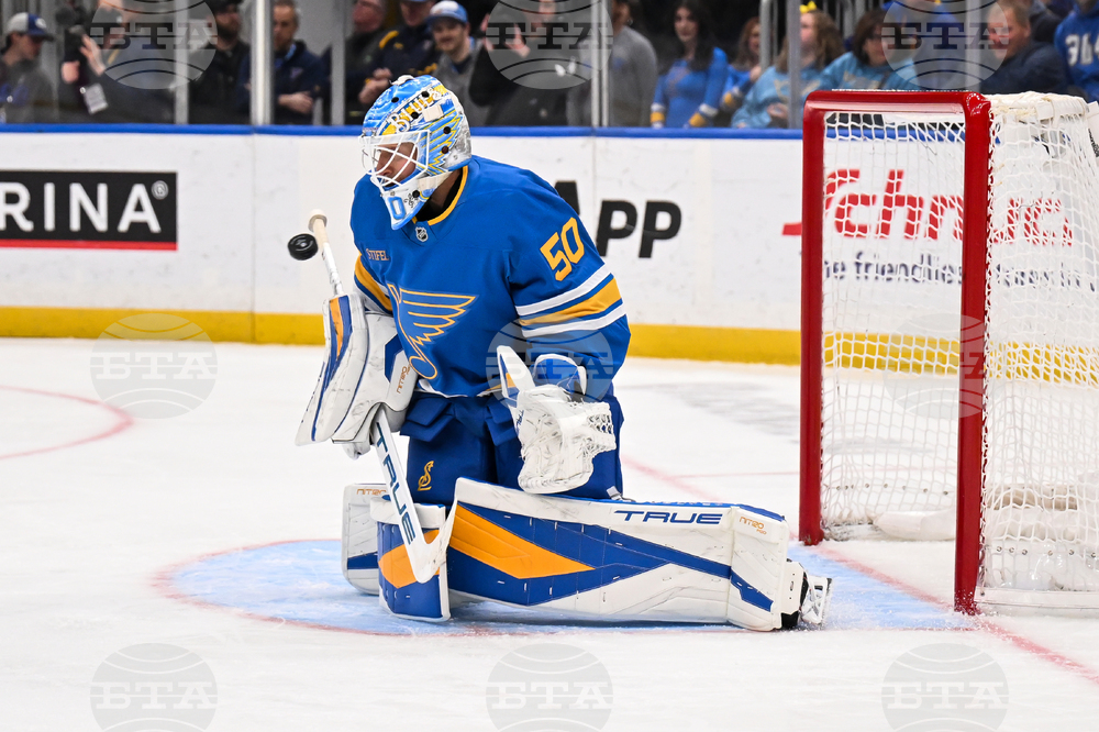 Maple Leafs Blues Hockey