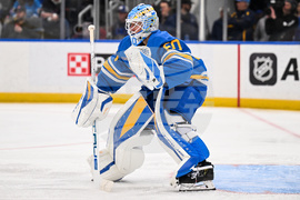 Maple Leafs Blues Hockey