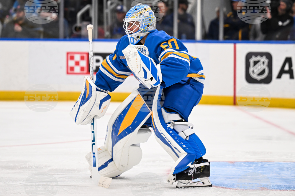 Maple Leafs Blues Hockey