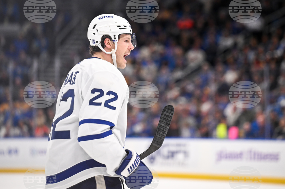 Maple Leafs Blues Hockey