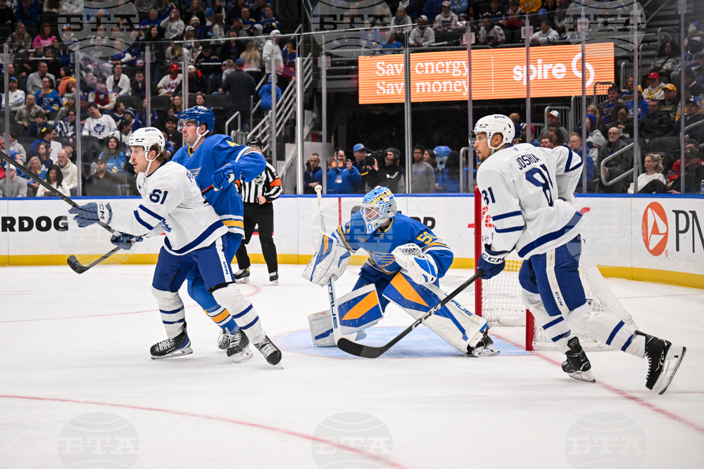 Maple Leafs Blues Hockey