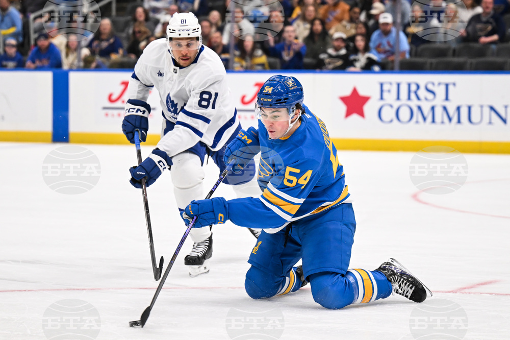 Maple Leafs Blues Hockey