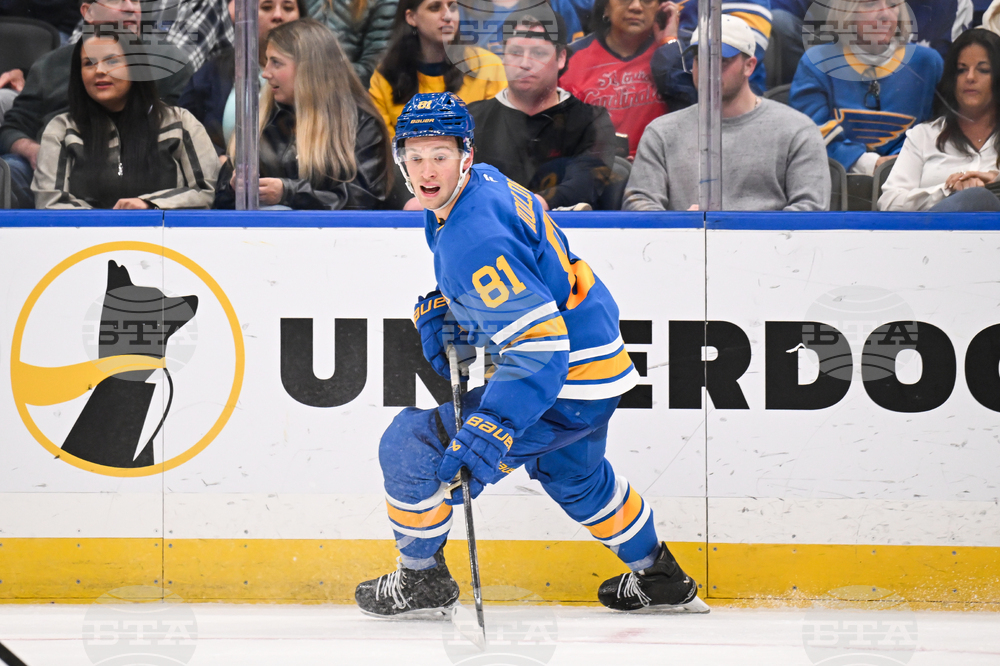 Maple Leafs Blues Hockey