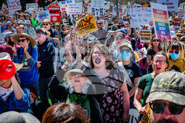 No Kings Protest