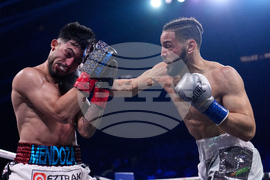 Tellez Mendoza Boxing