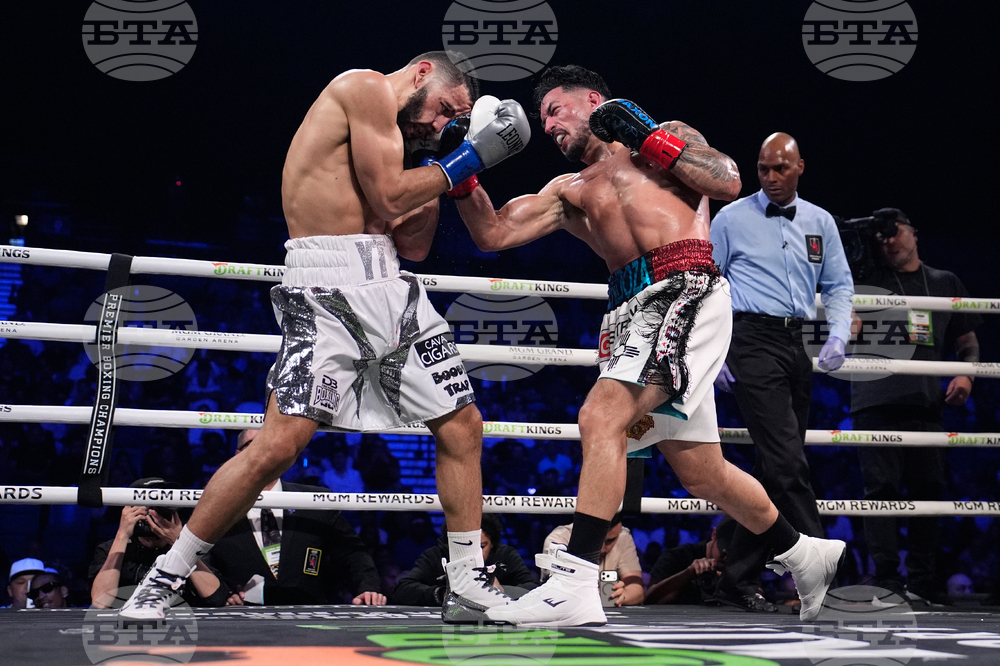 Tellez Mendoza Boxing