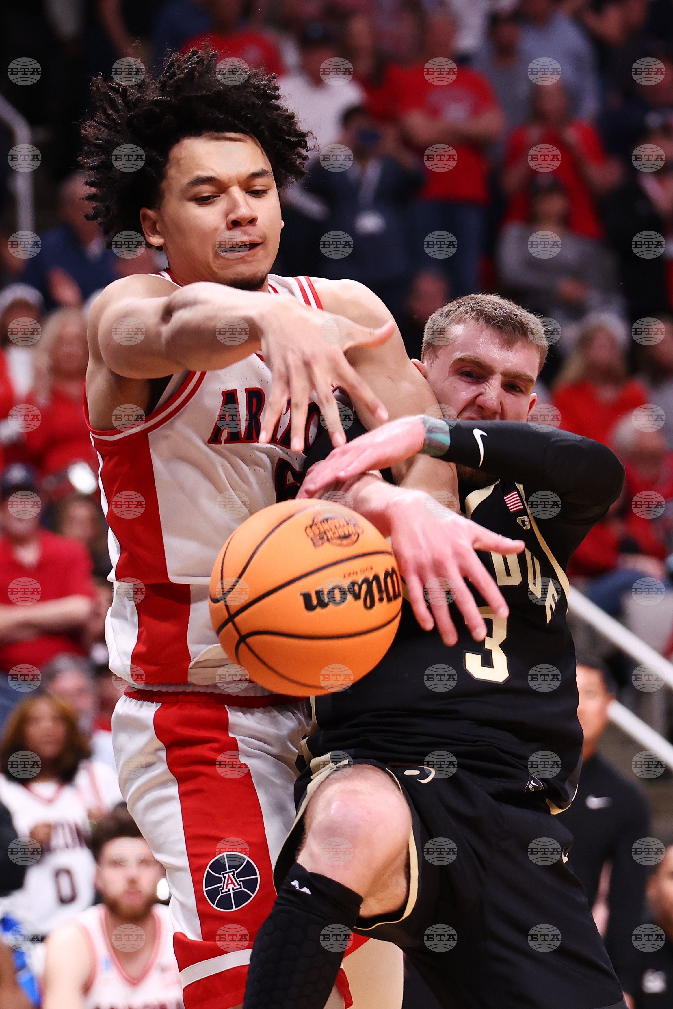 NCAA Purdue Arizona Basketball