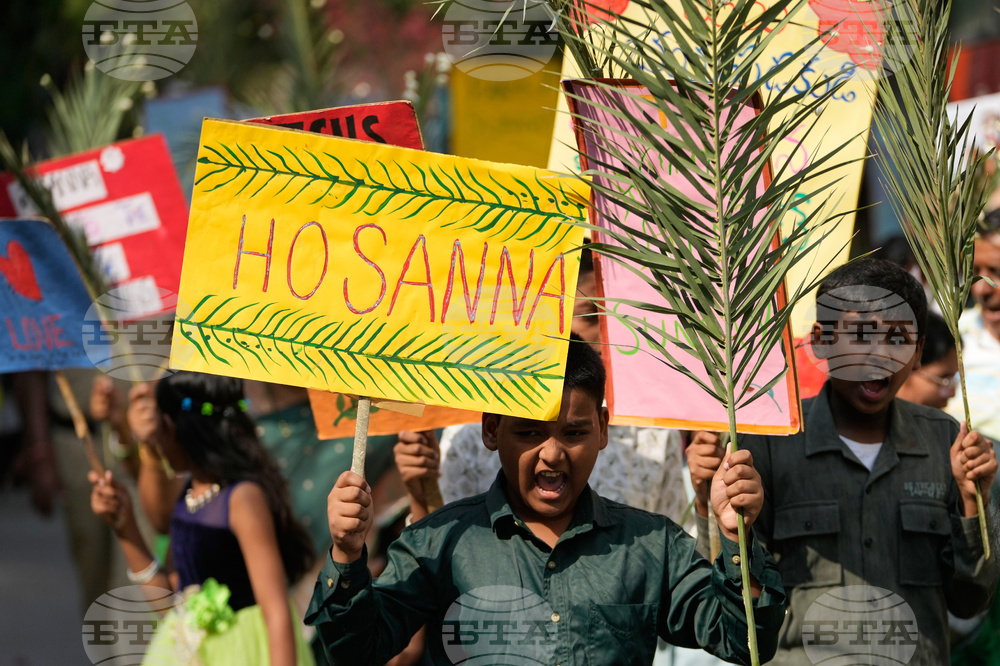 India Palm Sunday