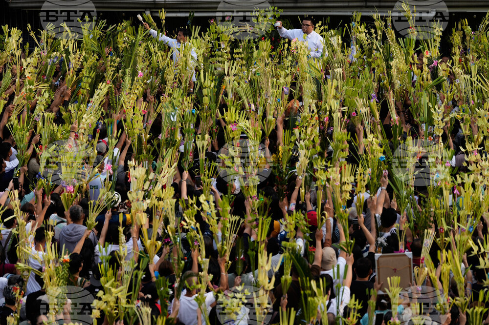 Philippines Palm Sunday