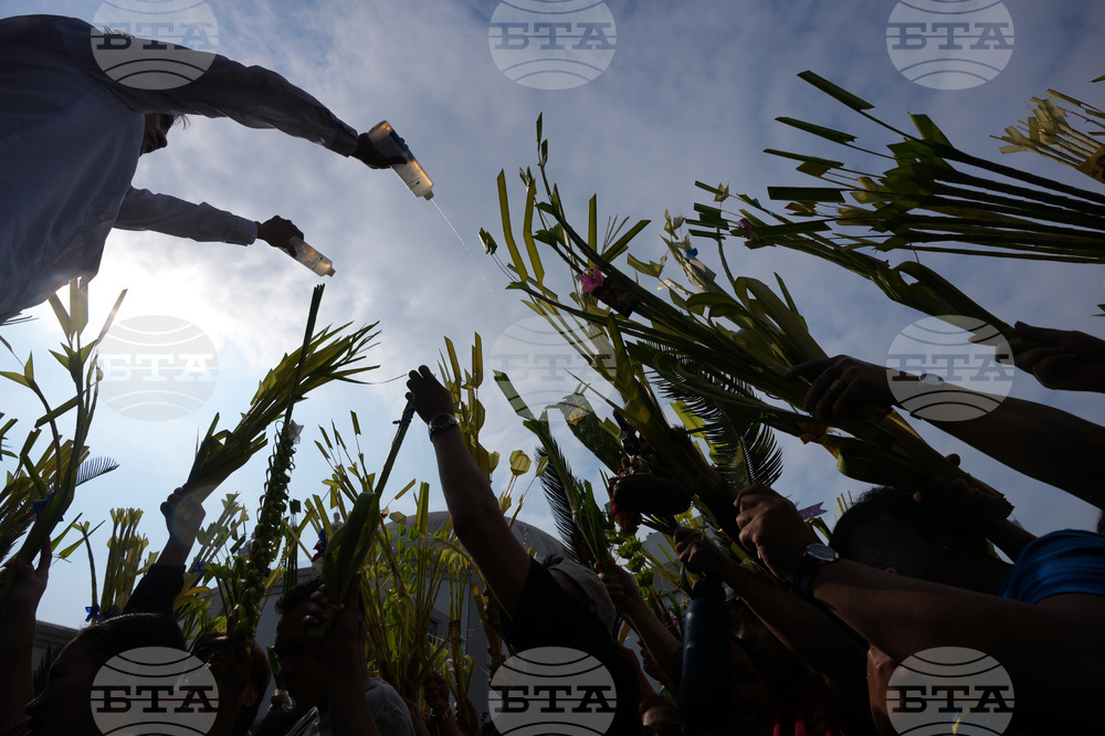 Philippines Palm Sunday