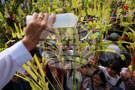 Philippines Palm Sunday