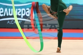 Световна купа по художествена гимнастика