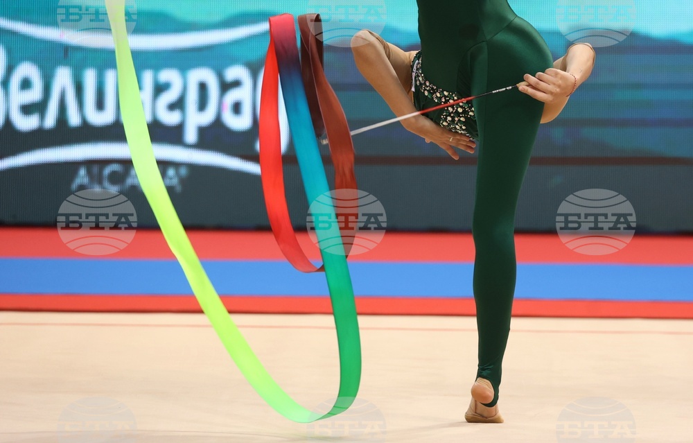 Световна купа по художествена гимнастика