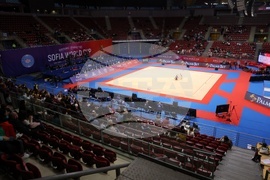 Световна купа по художествена гимнастика