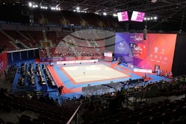 Световна купа по художествена гимнастика