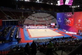 Световна купа по художествена гимнастика